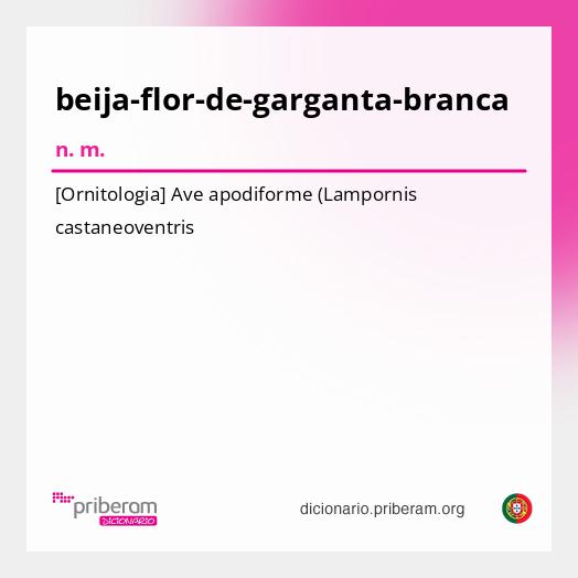 Significado de beija-flor-de-garganta-branca